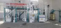 10噸玉米糝、粉聯(lián)產生產線  日產